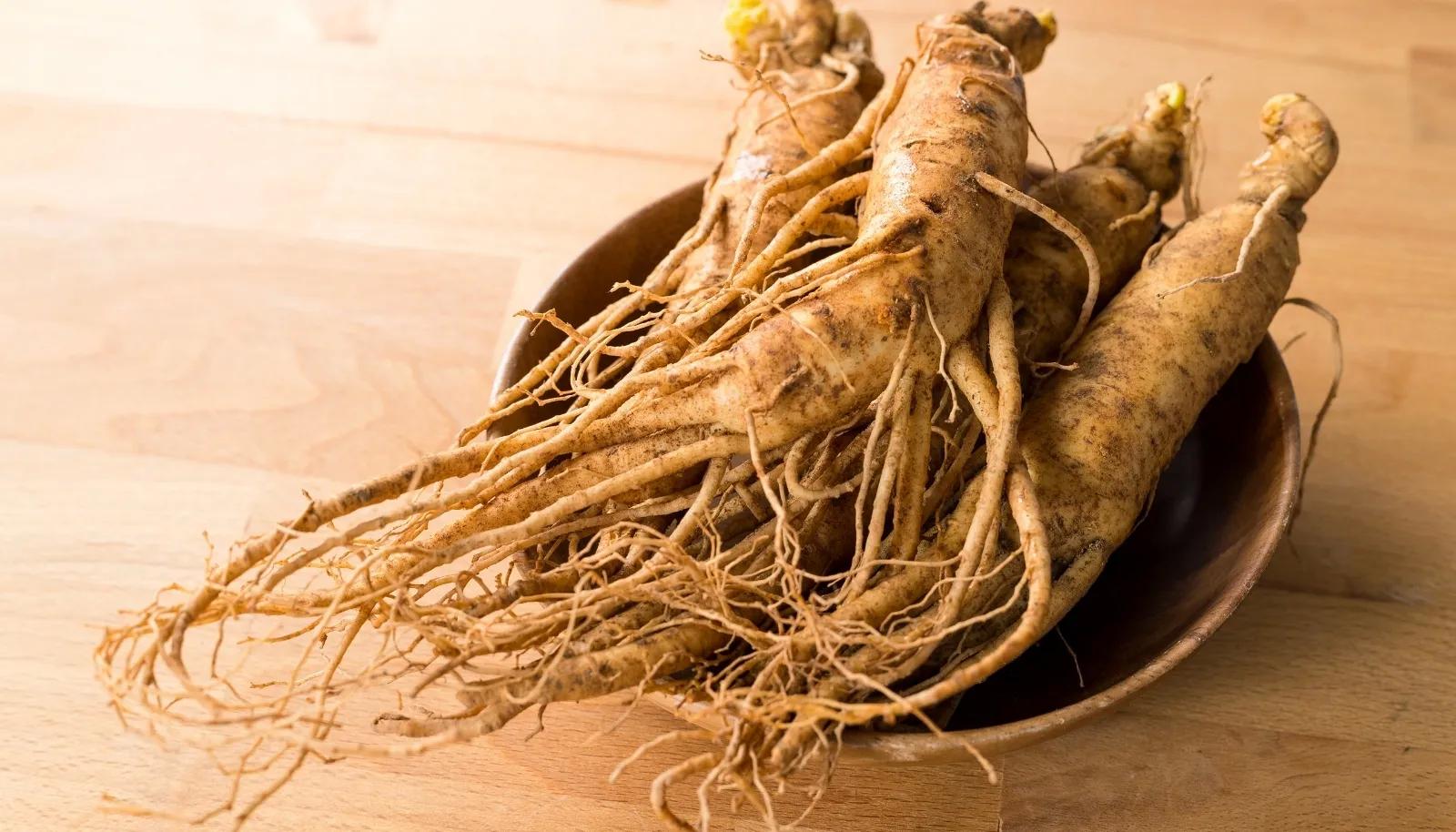 Ginseng Ekstraktı: Adaptogen Gücü ve Endüstriyel Kullanım