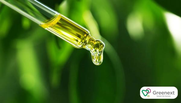 Organik Tarımda Zeytin Yaprağı Ekstraktı Kullanımı