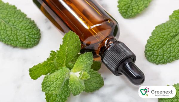 Spa Terapilerinde Nane Yağının Canlandırıcı Gücü